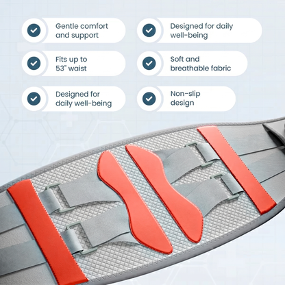 ErgoLia Elite Fusion Belt
